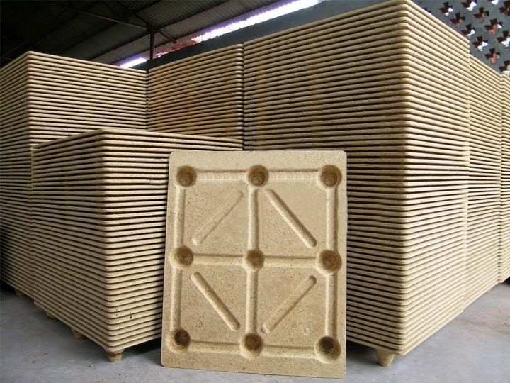 molded pallet