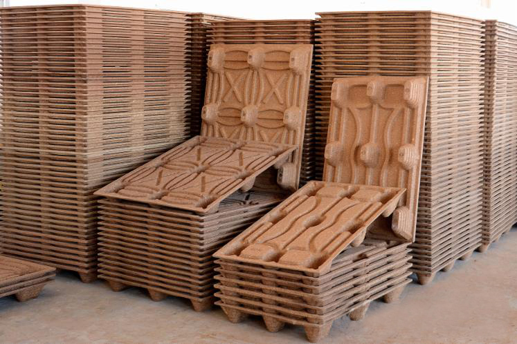 molded pallets made by wood pallet machine from thoyu