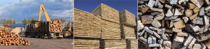 wood waste recycling