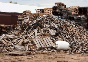 We can make money by Wood waste recycling business