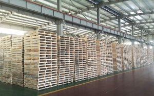 Pallets ready to ship