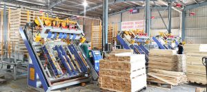 Wooden pallet nailing machine